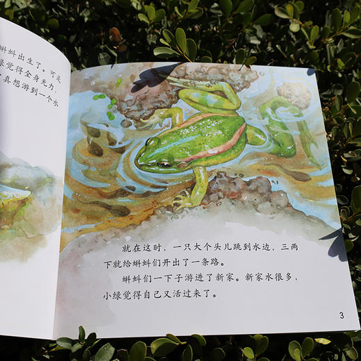 《小羊上山儿童汉语分级读物·第6级》(全10册） 商品图3