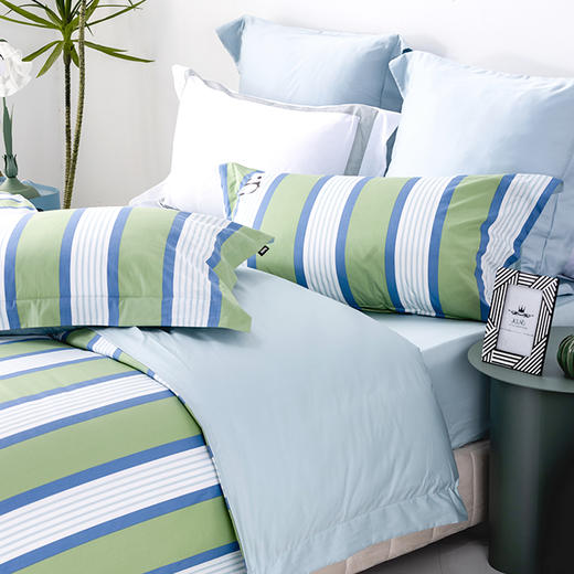 多喜爱 全棉新疆精梳棉卡通条格三/四件套 吹风风cs 商品图3