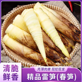  《很想很想你》播出后，没想到它火了…… 