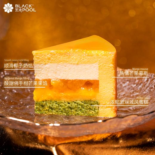 （预约验券专用）【日照金山】芒果佛手柑椰子慕斯验券不成功不发货，选择款式，备注平台+券码，下单支付0.01元即可 商品图5