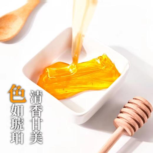 新疆伊犁高原蜂蜜液体/结晶土蜂蜜500g 商品图2