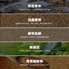 荞公子苦荞原浆啤酒 商品缩略图6