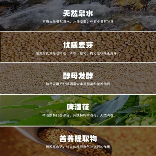 荞公子苦荞原浆啤酒 商品图6