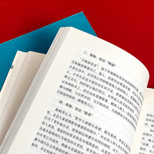 从班级到成长共同体 不一样的带班策略 大夏书系 中小学班主任培训用书 商品图11