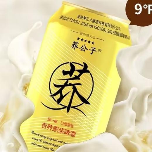 荞公子苦荞原浆啤酒 商品图0