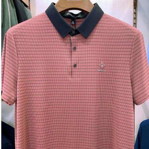 南4迪诺兰顿短袖T恤S1071 商品图0