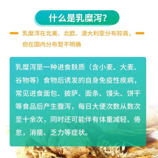 欧盟未一 麸质敏感性肠病 乳糜泻检测服务 商品图2