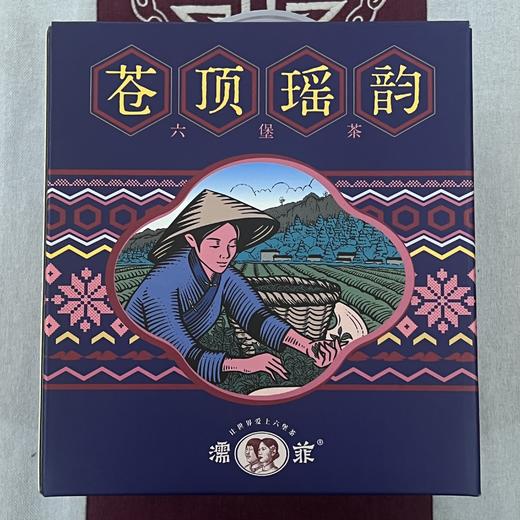 懂茶帝-韦洁群-2010年荒野瑶乡六堡茶50g 商品图5