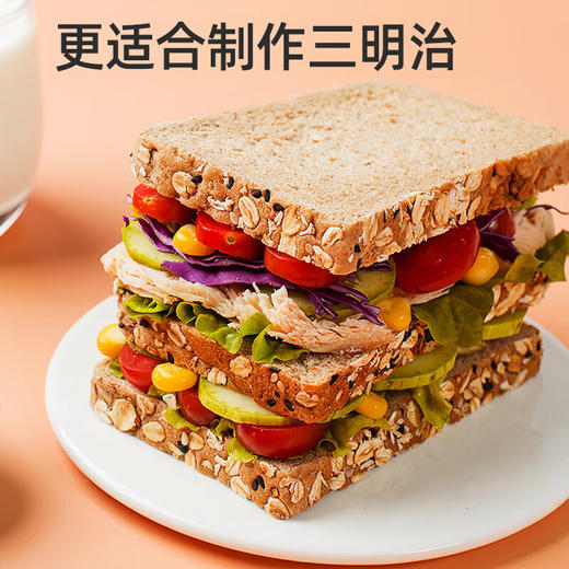 三晟无蔗糖全麦/黑麦面包308g 商品图1