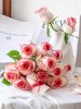 新鲜鲜花  爱莎玫瑰10支（可备注送货时间） 商品缩略图1