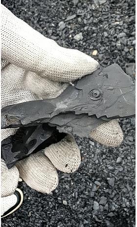 【建德】化石小猎人（寻宝） 商品图2