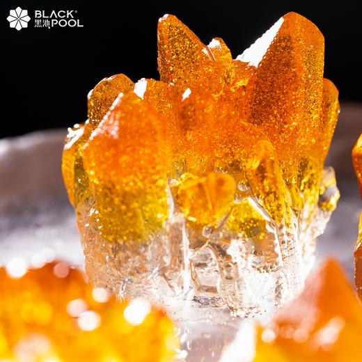 （预约验券专用）【金牛座·浮光跃金】芒果佛手柑椰子慕斯，验券不成功不发货，选择款式，备注平台+券码，下单支付0.01元即可 商品图4