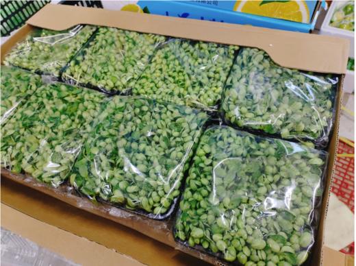 青豆苗一袋 商品图0