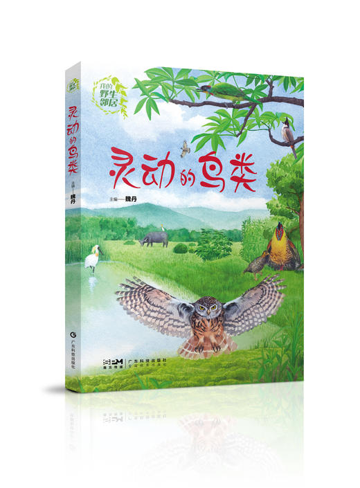我的野生邻居：灵动的鸟类 商品图0