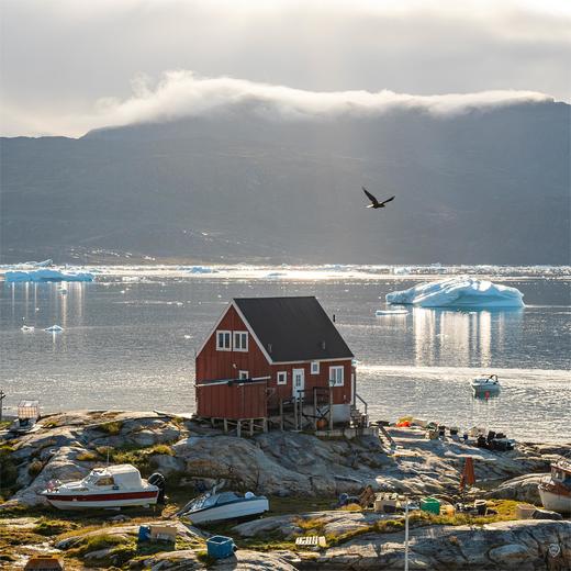 夏季格陵兰 | 追逐鲸影 午夜阳光与冰川交融的震撼色彩 8天7晚 商品图10