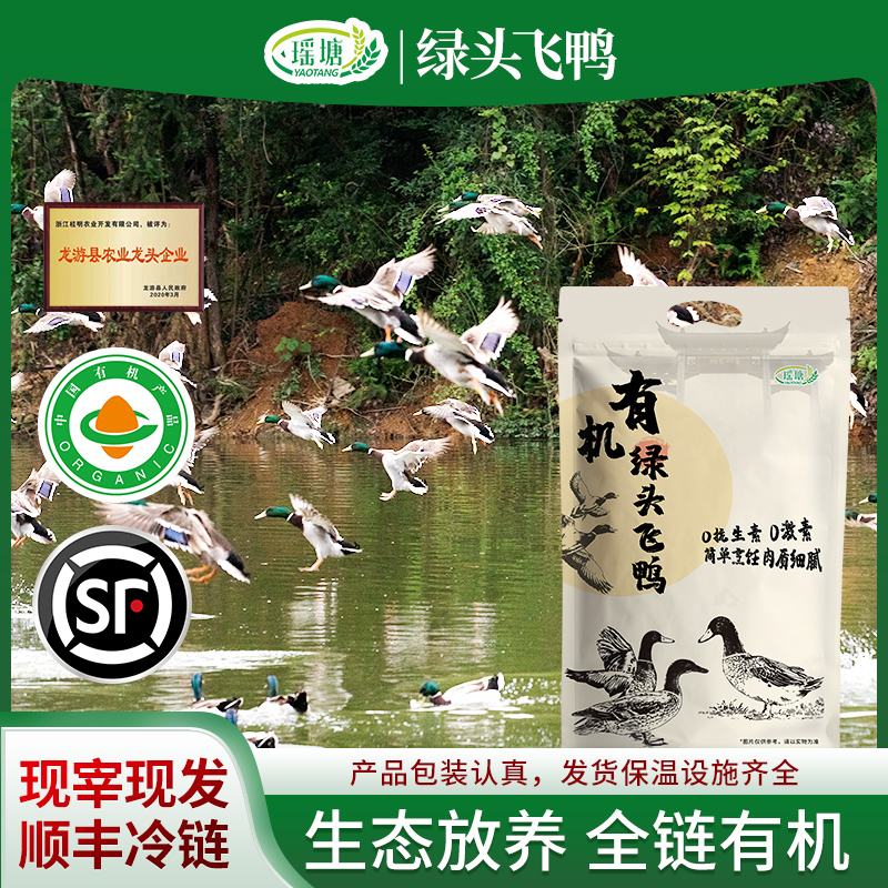 有机绿头飞鸭（净重约900-1250克） 去内脏/18个月养殖