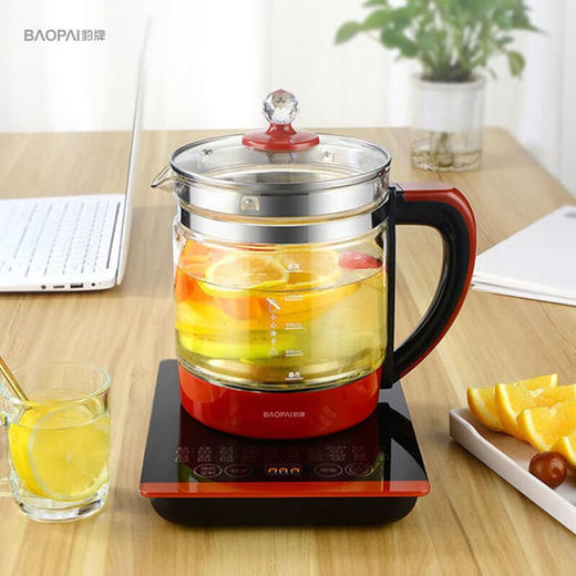 豹牌  养生壶  304不锈钢发热盘1.8L大容量  BP-9273 商品图0