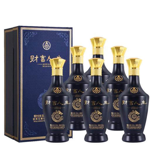 【春糖爆款】五粮液（WULIANGYE）财富人生蓝钻 52度 浓香型白酒 500ml*6整箱 商品图0