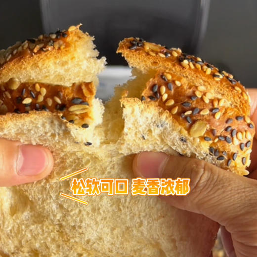 三晟无蔗糖全麦/黑麦面包308g 商品图2