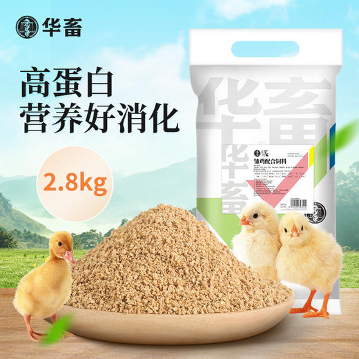 华畜小鸭子饲料喂鸭专用小鸟小黄鸭子小鹅小鸡吃的粮食物饲料雏鸭 商品图0