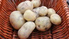 锄禾土豆（500g） 商品缩略图4