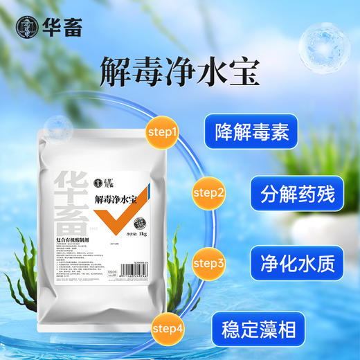 华畜水产解毒净水宝1kg 膏状有机酸 浓度更高SZ 商品图4