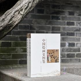 《中国绘画史图鉴》（上下册），16开，全两册，王伯敏著，浙江人民美术出版社2023年一版八印，868页，定价398元，售价：298元，另有《中国绘画史图鉴》，软精装，32开，缩印本，单册，定价168元