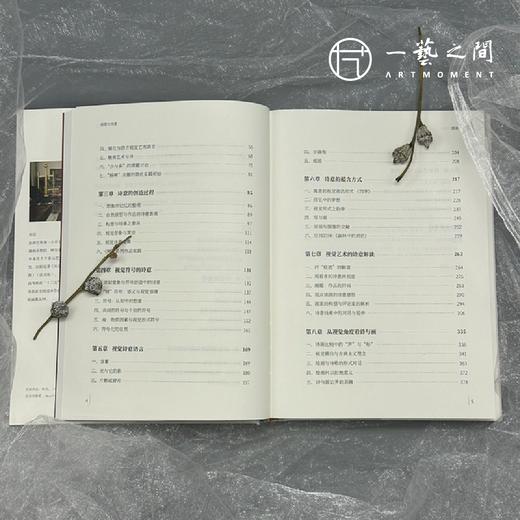 《视觉与诗意》精装升级版2024年新书 商品图3