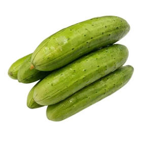 【5.5元2斤】旱黄瓜（1500698）