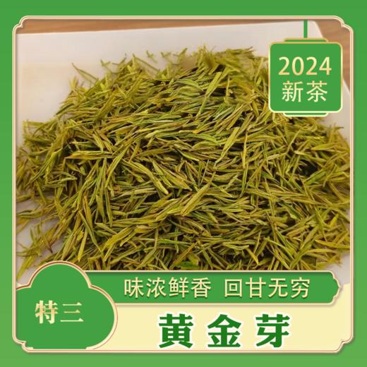 2024新茶【特三 黄金芽】回味无穷   汤色明黄 商品图0