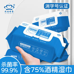 （赠品）75%酒精湿巾80抽