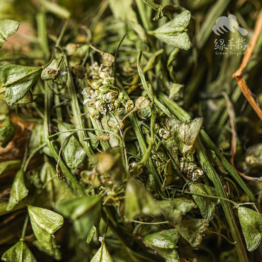 生态荠菜干（有根有叶有花） | 绿家自产 * Eco-dried shepherd's purse | Self-production 商品图4