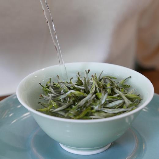 【2024年高山牡丹王】 商品图4