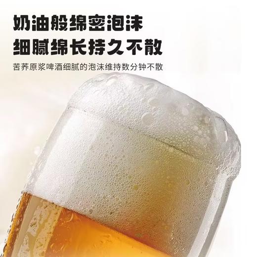 荞公子苦荞原浆啤酒 商品图12