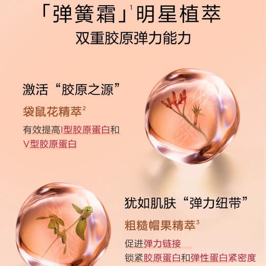 【孕妇可用】法国 Clarins 娇韵诗 双萃精华焕颜弹力紧致4件套 套盒（双萃精华50ml+弹簧水200ml+焕颜日霜50ml+焕颜晚霜50ml) 商品图6