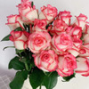 新鲜鲜花  爱莎玫瑰10支（可备注送货时间） 商品缩略图0