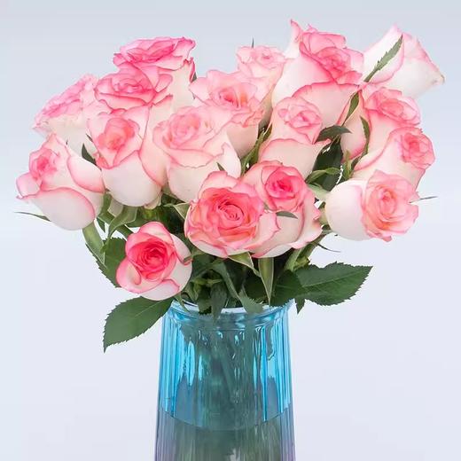 新鲜鲜花  爱莎玫瑰10支（可备注送货时间） 商品图2