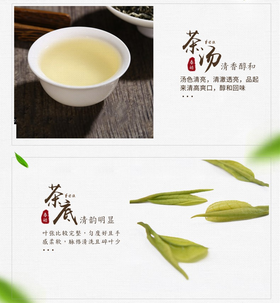 明前枣林白茶3克小袋条盒装