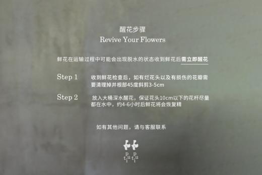 42 / 繁秘系列 Blossom Series 商品图6
