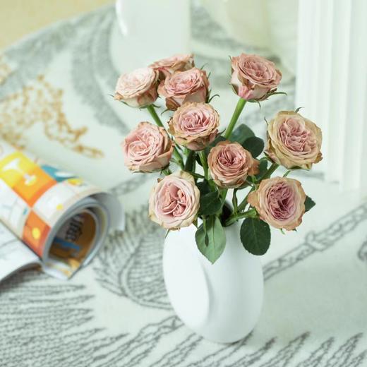 【优质品种】卡布奇诺玫瑰 10枝 | 公众号专属 商品图0