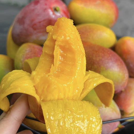 树熟海南贵妃芒精品果 顺丰发货 商品图7