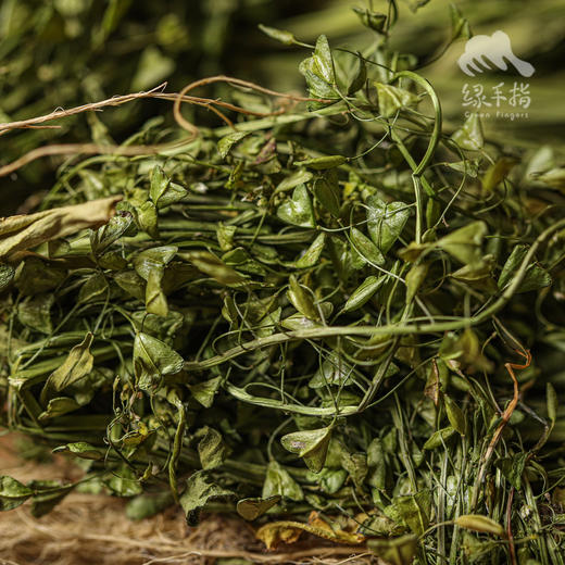 生态荠菜干（有根有叶有花） | 绿家自产 * Eco-dried shepherd's purse | Self-production 商品图1