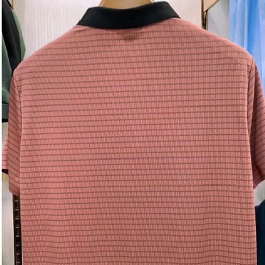 南4迪诺兰顿短袖T恤S1071 商品图1