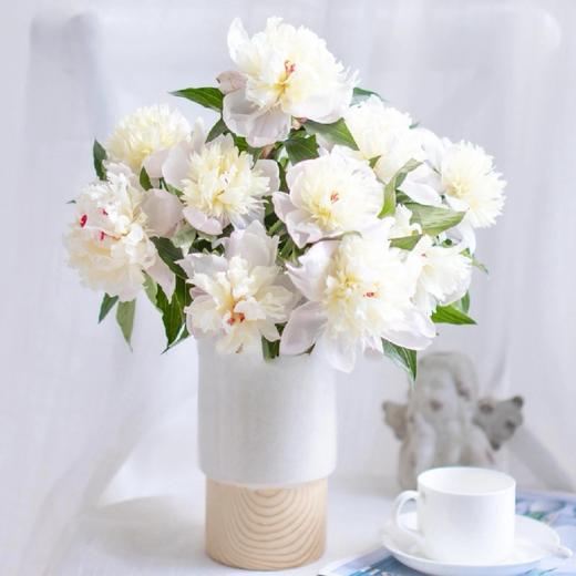 【凤羽落金池重瓣芍药】10支/份 商品图3