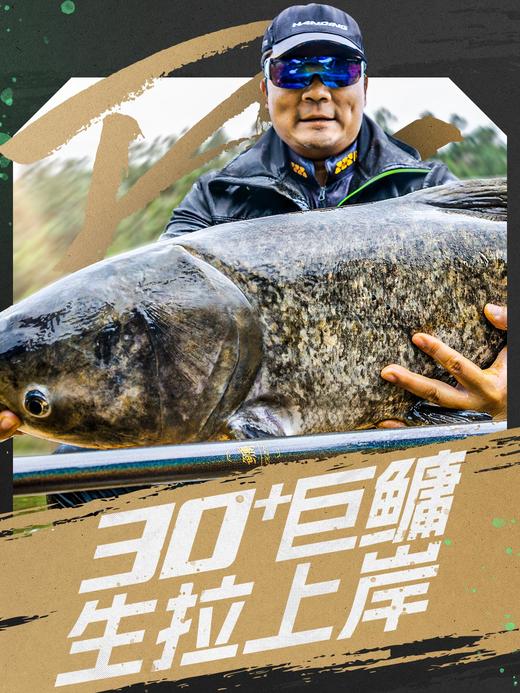 汉鼎一号鲢鳙版鱼竿手杆台钓竿鲢鳙钓竿钓鱼竿手竿 商品图1