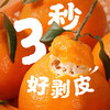 【初春限定】大雅柑 柑橘中的“鱼子酱”，巨浓郁，稀缺少有的口感 商品缩略图1