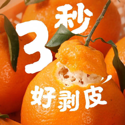 【初春限定】大雅柑 柑橘中的“鱼子酱”，巨浓郁，稀缺少有的口感 商品图1