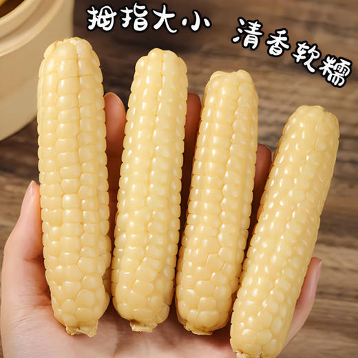 西双版纳【拇指小玉米】香甜软糯 入口细腻 软嫩可口 真空密封 快速锁鲜 商品图1