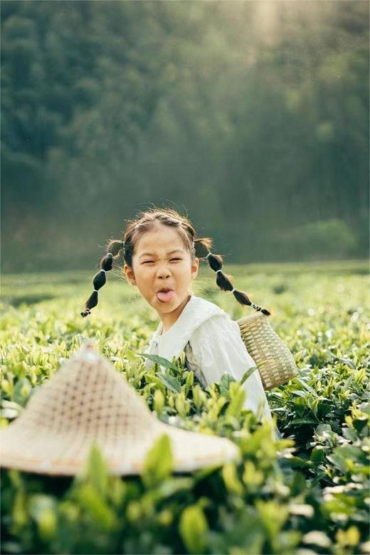 五一陶都宜兴2日亲子游，漫步龙池山、采茶、制陶+皮划艇，一个都不能少 商品图1