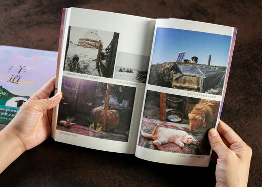 李娟作品集《我的阿勒泰》+《冬牧场》+《羊道三部曲》 套装5册 商品图3